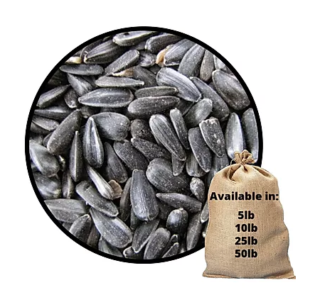 Natures Nest | 309 Kings Rd, Londesborough, ON N0M 2H0, Canada | Phone: (519) 523-4399