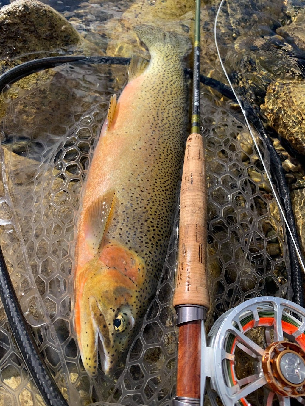Alberta Fly Fishing Adventures | 8301 20 Ave, Coleman, AB T0K 0M0, Canada | Phone: (403) 563-8510