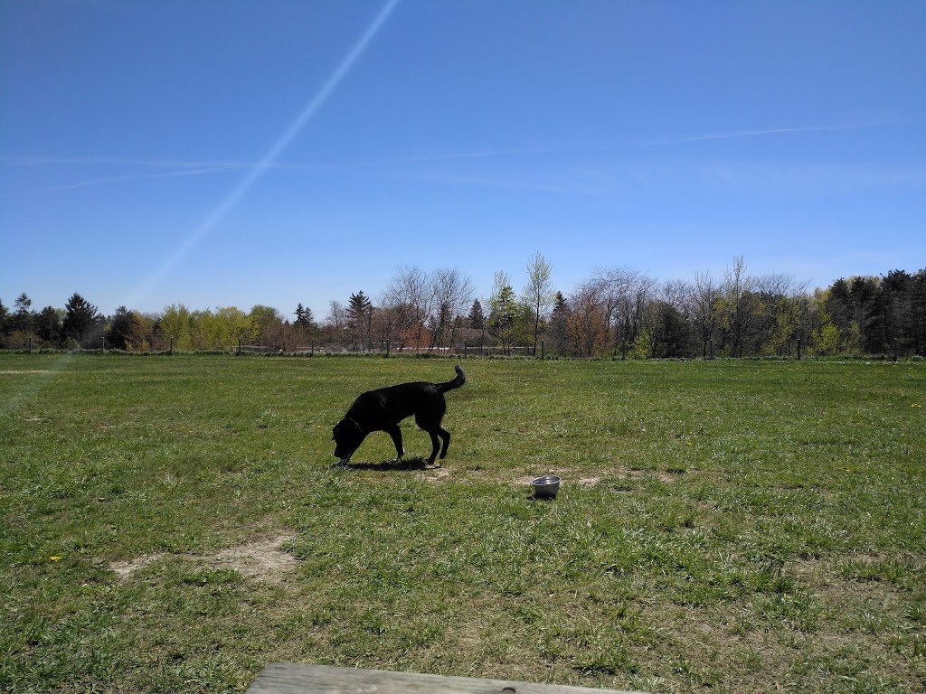 Blackwell Dog Park | 1468 Blackwell Rd, Sarnia, ON N7S 5M5, Canada | Phone: (519) 332-0330 ext. 3351