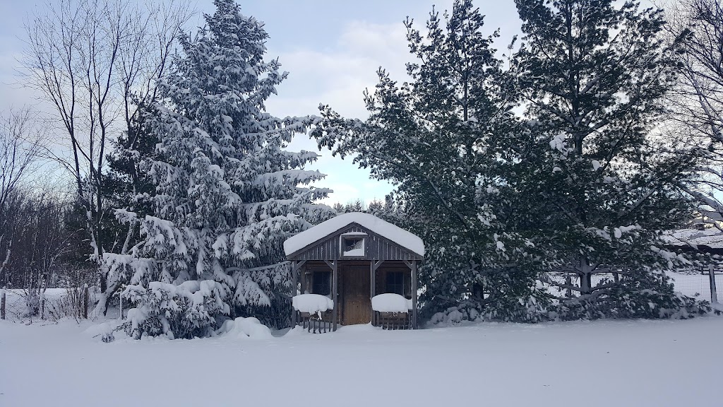 THE DOCTORS INN | 438496 Grey Rd 15, Owen Sound, ON N4K 5N3, Canada | Phone: (905) 392-9713