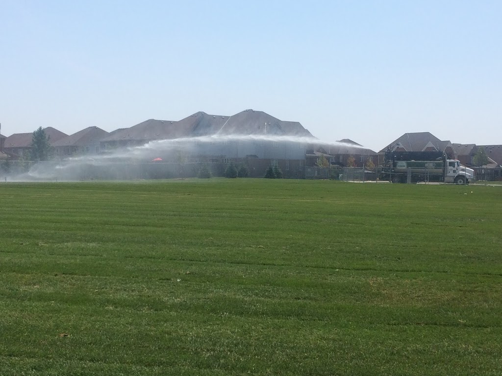 Vissers Sod Farm | 5495 Enfield Rd, Hampton, ON L0B 1J0, Canada | Phone: (905) 263-2126