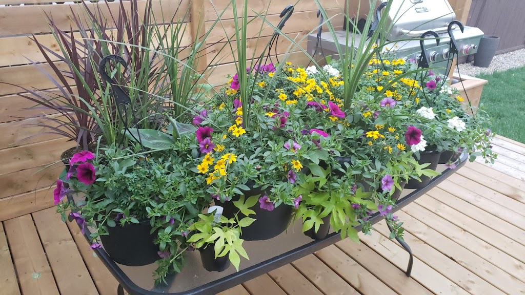 Darvonda Nurseries Ltd | 4707 49 St, Mundare, AB T0B 3H0, Canada | Phone: (587) 921-7555