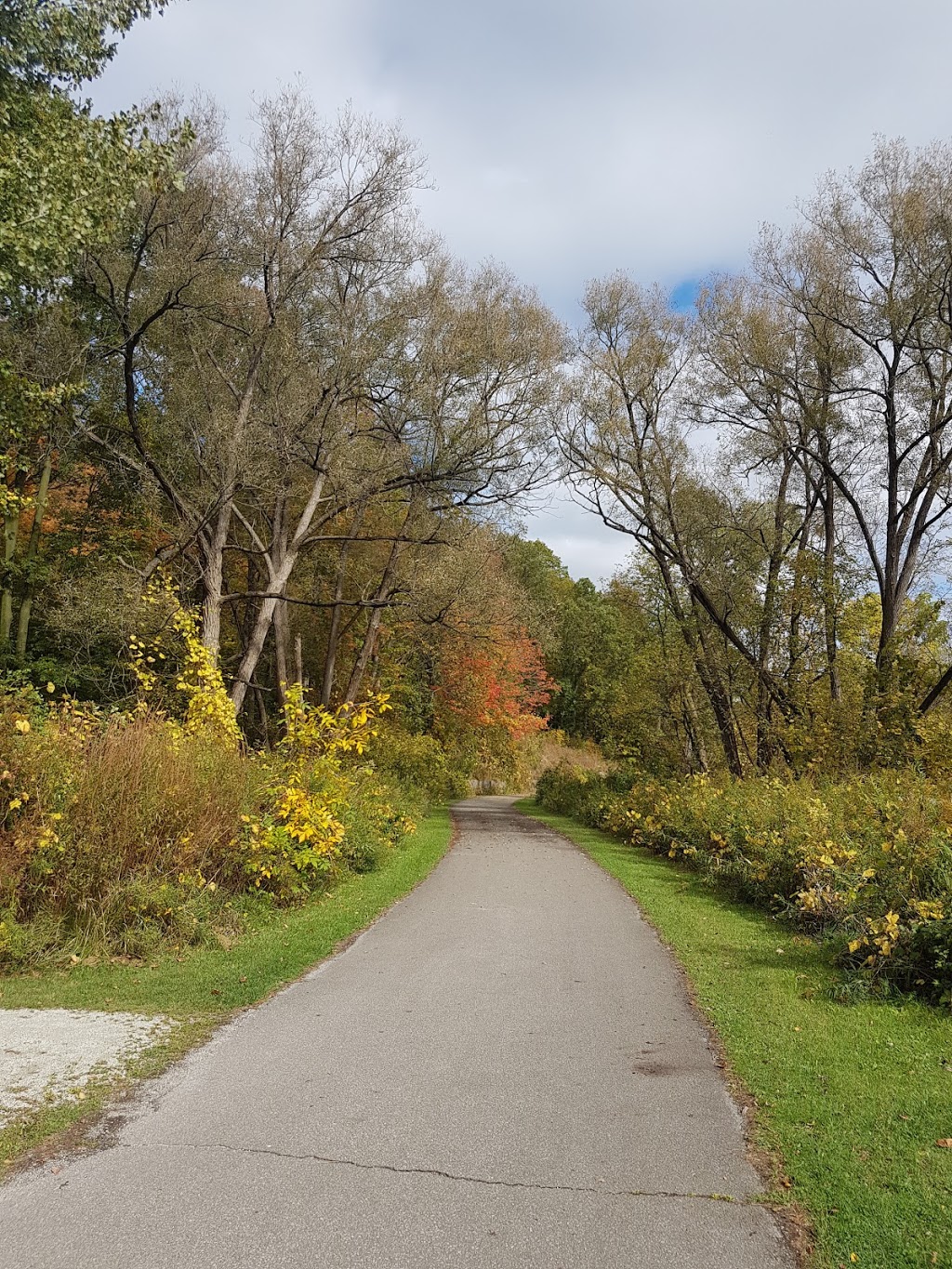Humber Arboretum | 205 Humber College Blvd, Etobicoke, ON M9W 5L7, Canada | Phone: (416) 675-5009