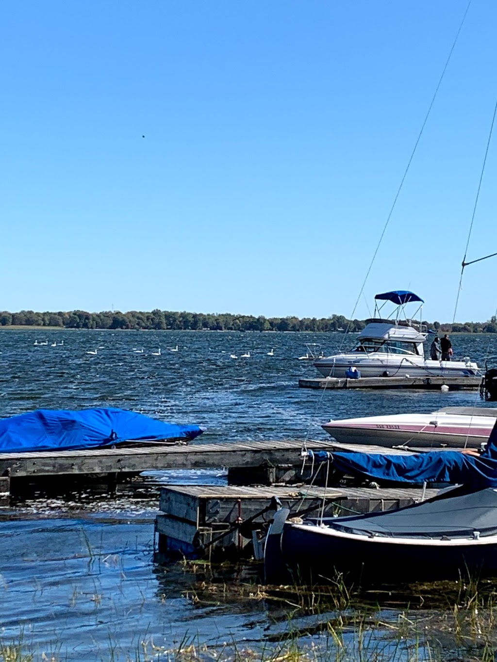 Wellers Bay Campground | 65 Carter Rd, Carrying Place, ON K0K 1L0, Canada | Phone: (613) 475-3113