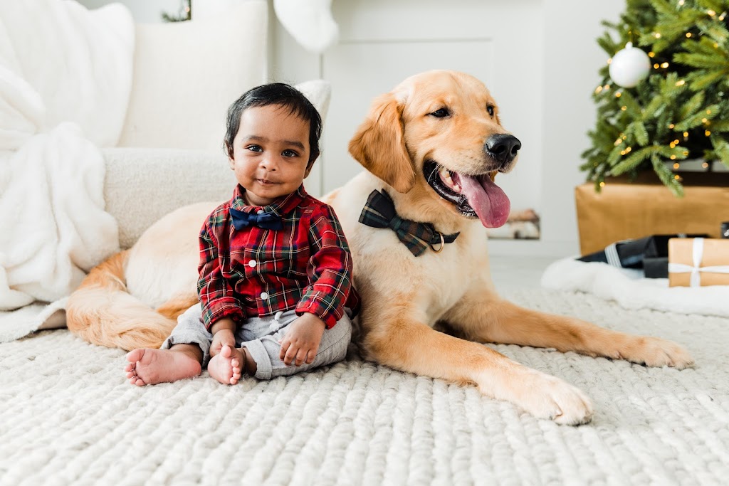 Saakshi Photography | 70 Packard Blvd, Scarborough, ON M1P 4K5, Canada | Phone: (416) 543-5333