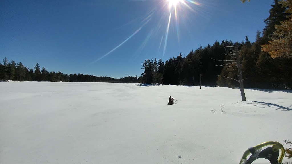 Chalet Serenity | 2038 Chemin du Lac Gagnon E, Duhamel, QC J0V 1G0, Canada | Phone: (819) 431-0808