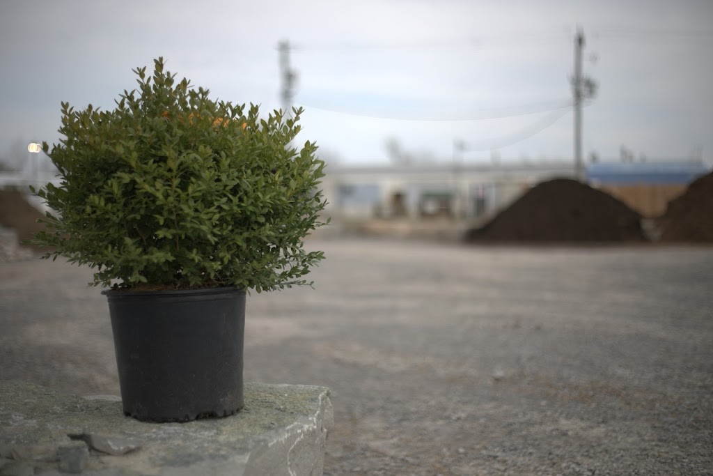 Crowhurst Construction Landscape Depot | 1560 Chemong Rd, Peterborough, ON K9J 6X2, Canada | Phone: (705) 977-1498