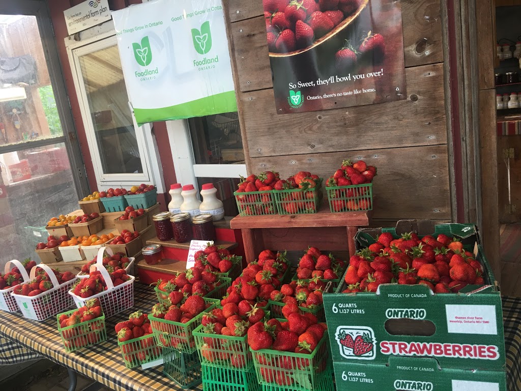 Red Barn Berries | 744716 County Rd 17, Woodstock, ON N4S 7V7, Canada | Phone: (519) 537-3756