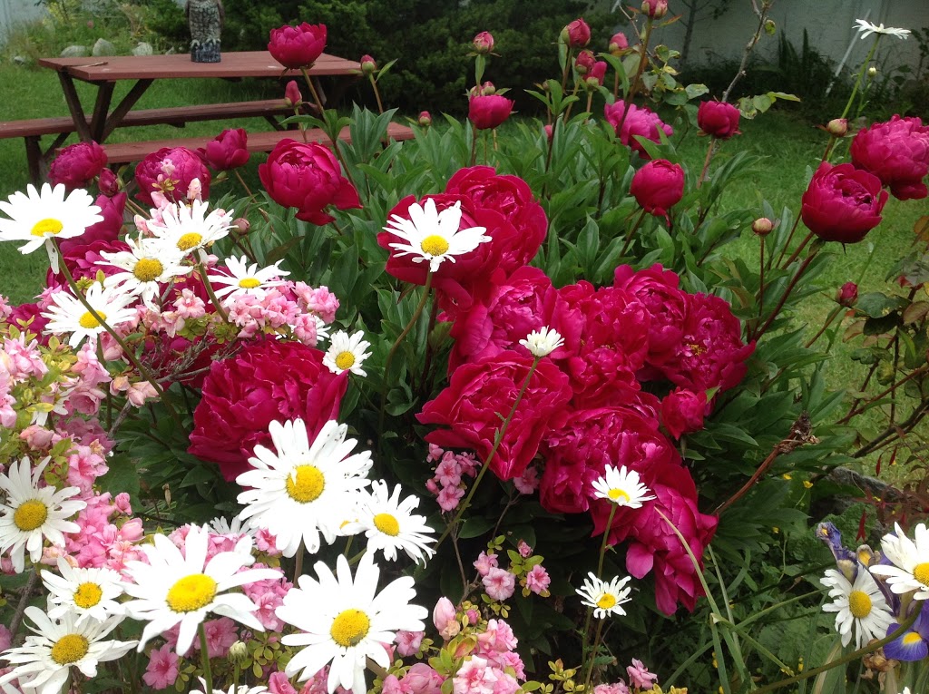 Aleck Bay Inn | 45 Finch Ln, Lopez Island, WA 98261, USA | Phone: (360) 468-3535