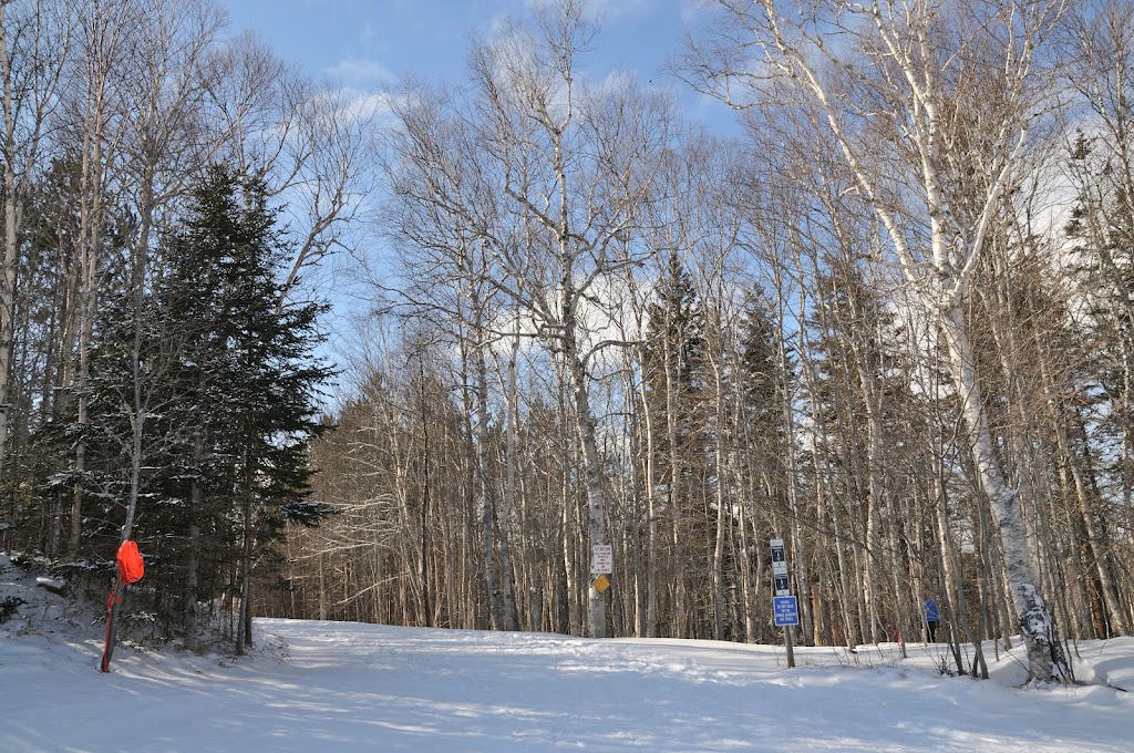 Mark Arendz Provincial Ski Park at Brookvale Nordic | 1800 PE-13, North Wiltshire, PE C0A 1Y0, Canada | Phone: (902) 658-7862