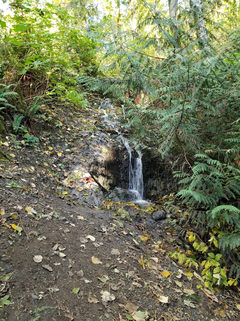Aldergrove Regional Park | 27240 8 Ave, Aldergrove, BC V4W 2P8, Canada | Phone: (604) 530-4983