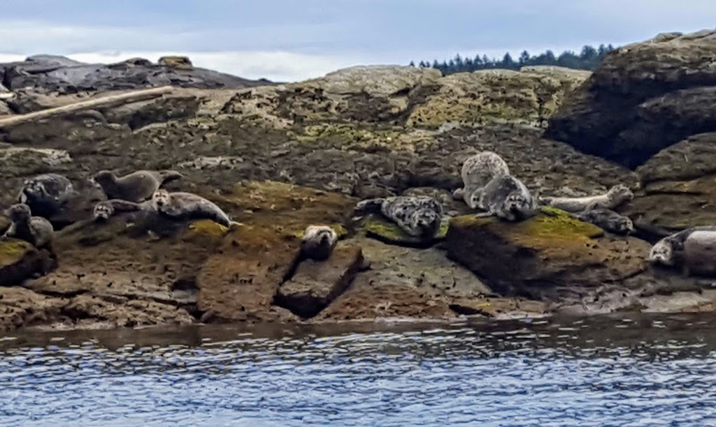 Joan Point Park | 1060 Phoenix Way, Nanaimo, BC V9X 1N2, Canada | Phone: (250) 390-4111