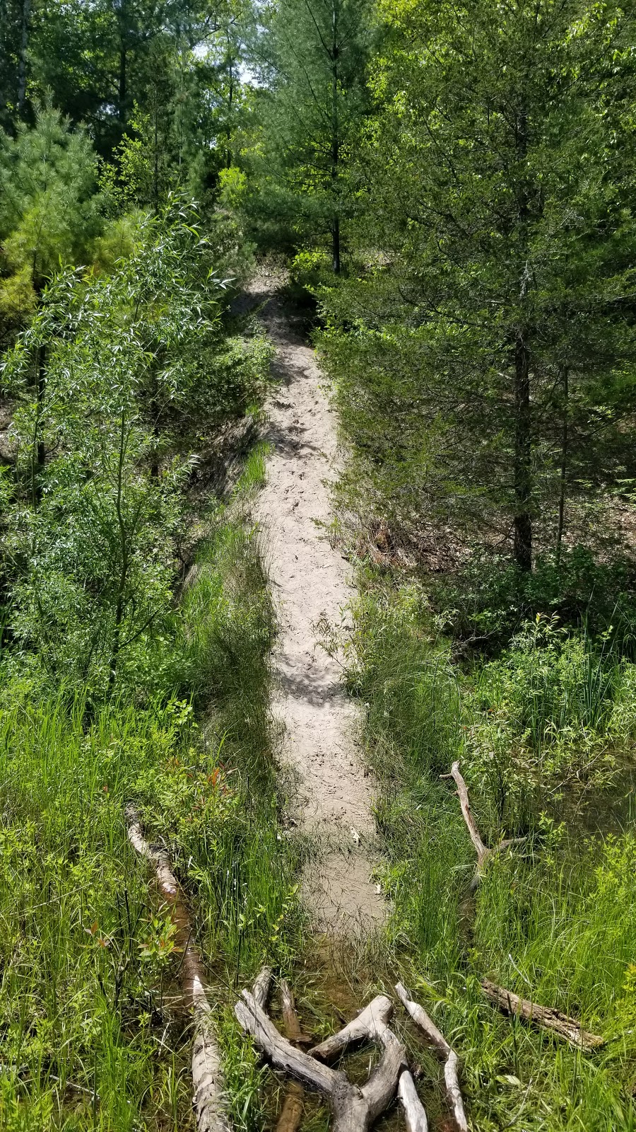 Ausable River Cut Conservation Area | 9984 Northville Crescent, Thedford, ON N0M 2N0, Canada