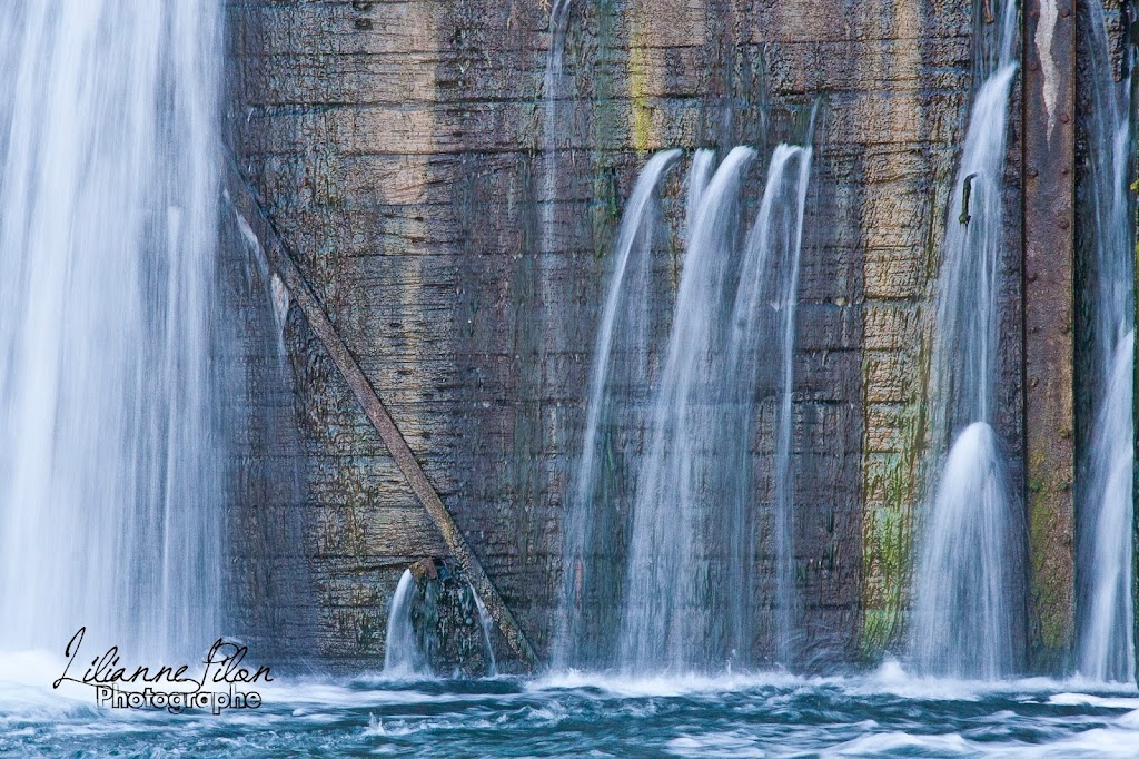 Lilianne Pilon Photographe | 63 Av. des Tourterelles, Les Cèdres, QC J7T 1A3, Canada | Phone: (514) 602-6345