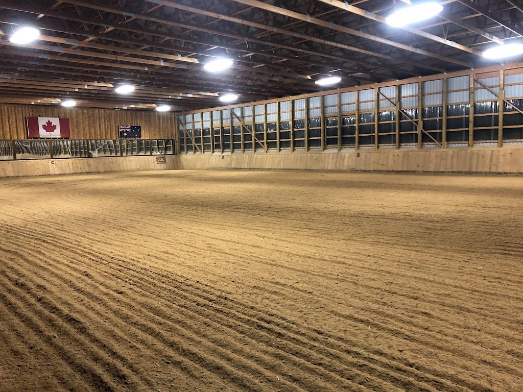 Nicole Stella Dressage | 8285 Guelph Line, Milton, ON L0P 1B0, Canada | Phone: (905) 220-1298