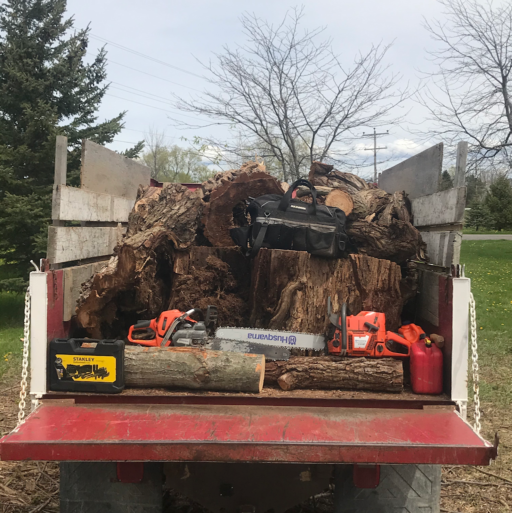 Southern Tree Service | 828254 Mulmur Nottawasaga Townline, Mulmur, ON L9V 0Y7, Canada | Phone: (705) 443-7789