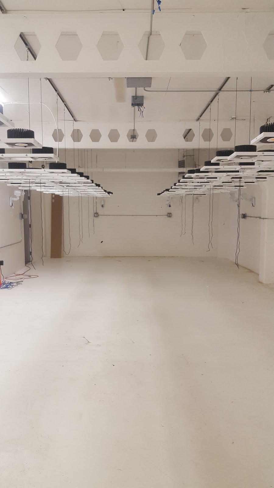 Blooms Growing Technologies | 11410 166 Ave NW, Edmonton, AB T5X 4B1, Canada | Phone: (780) 999-4020