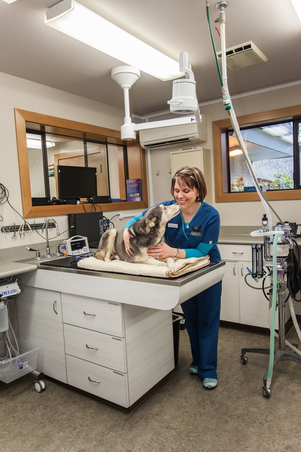 Fairhaven Veterinary Hospital | 2330 Old Fairhaven Pkwy, Bellingham, WA 98225, USA | Phone: (360) 671-3903