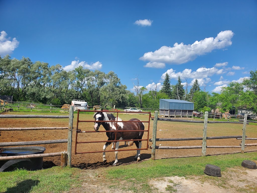 Cooks Creek Equestrian | 68082, MB-212, Cooks Creek, MB R5M 0E2, Canada | Phone: (431) 688-4344