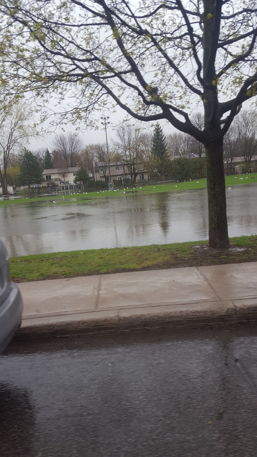 Rive-Boisee Park | Pierrefonds, Montreal, QC H8Z, Canada | Phone: (514) 872-0311