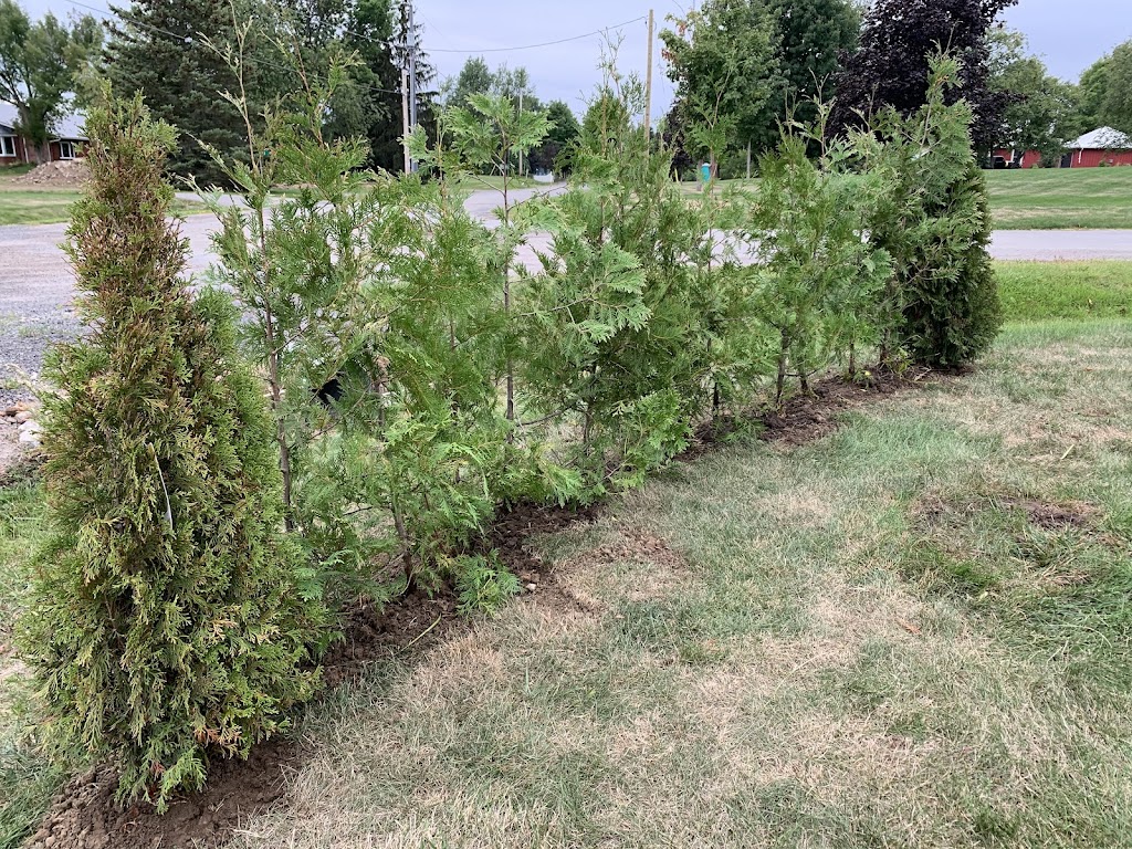 Hewitt’s Nurseries | Morrison Rd, Stirling-Rawdon, ON K0K 2M0, Canada | Phone: (613) 849-5943