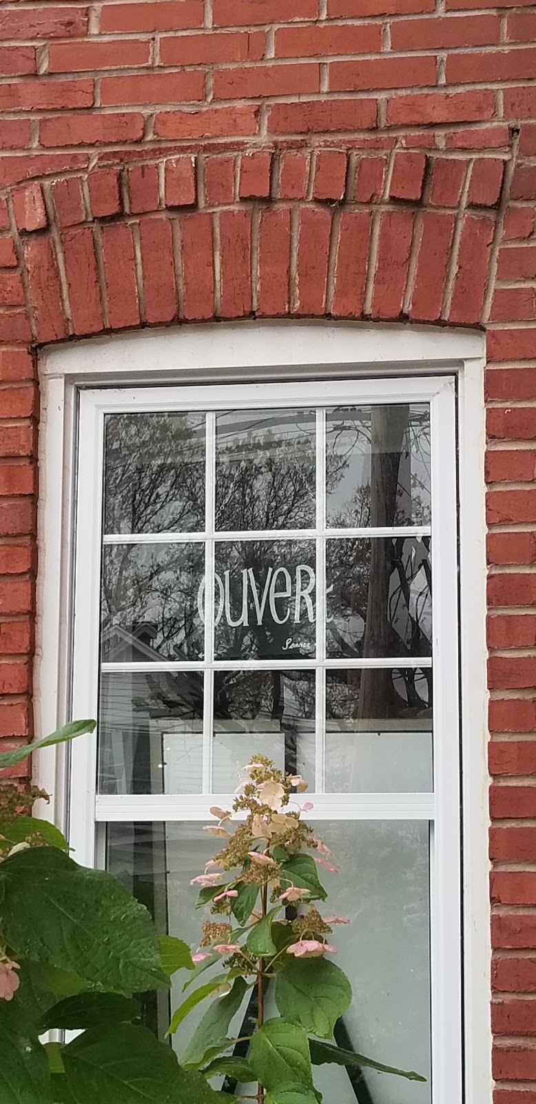 PATRICIA KRAMER | 498 Rue Notre-Dame E, Trois-Rivières, QC G8T 4E2, Canada | Phone: (819) 909-6513