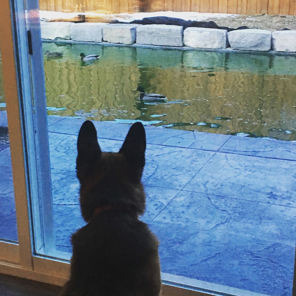 Pillar To Post Home Inspectors Troy's Team 13233 Medway Rd, Arva