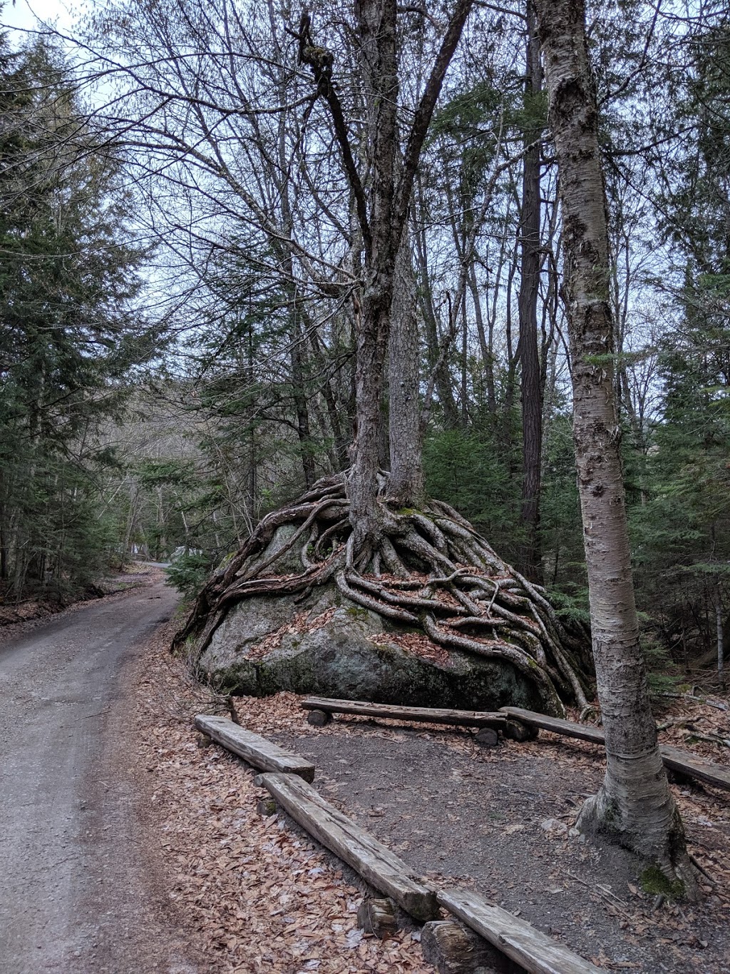Camp Quatre-Saisons Inc | 1192 Chemin du Lac-Caché, La Macaza, QC J0T 1R0, Canada | Phone: (819) 686-2123