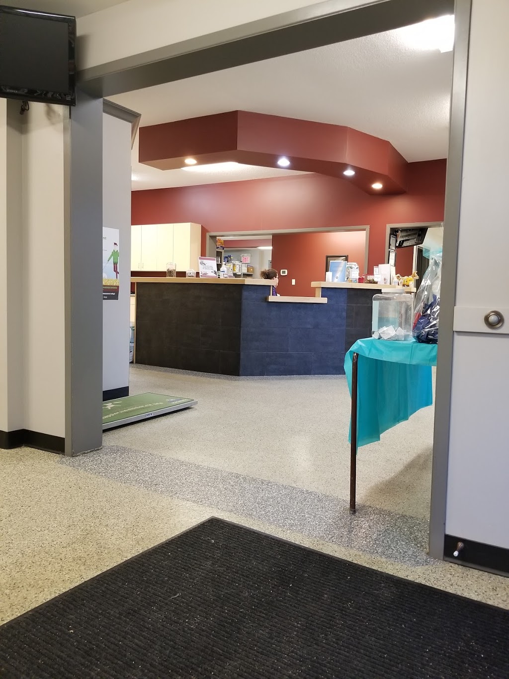Aylmer Veterinary Clinic | 421 Talbot St W, Aylmer, ON N5H 1K8, Canada | Phone: (519) 773-3911