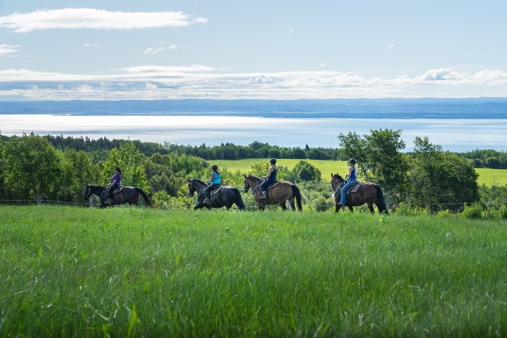 Les Écuries Entre Monts Et Marées | 645 Rang Saint Antoine, Saint-Irénée, QC G0T 1V0, Canada | Phone: (418) 452-3261