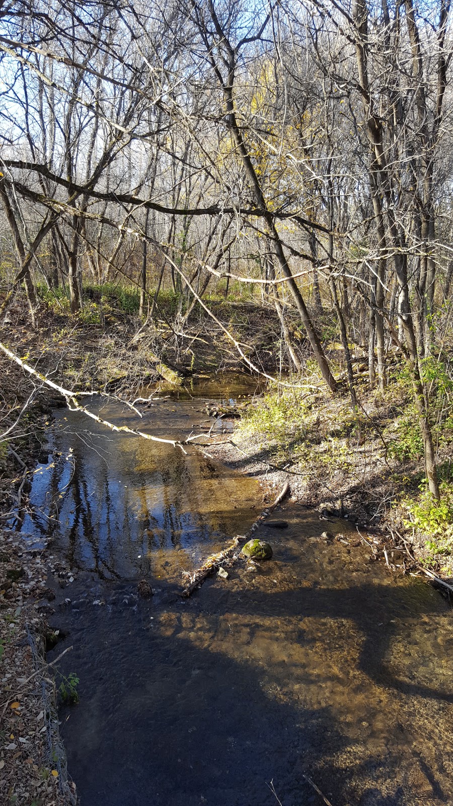 Enniskillen Conservation Area | Hampton, ON L0B 1J0, Canada | Phone: (905) 579-0411