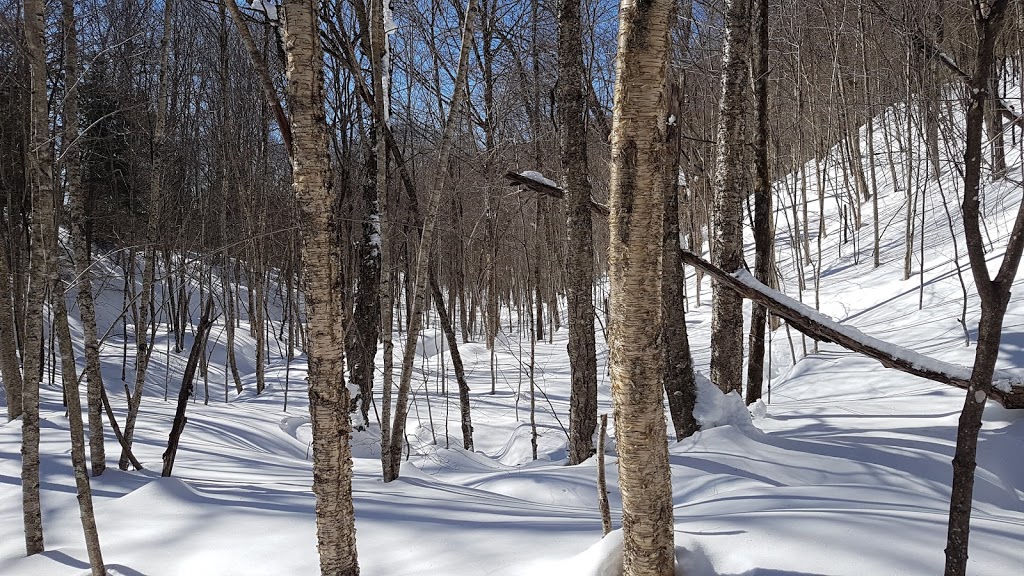 Camping et chalets ETSANHA | 1410 Route du Bras-du-Nord, Saint-Raymond, QC G3L 3J1, Canada | Phone: (418) 337-4184