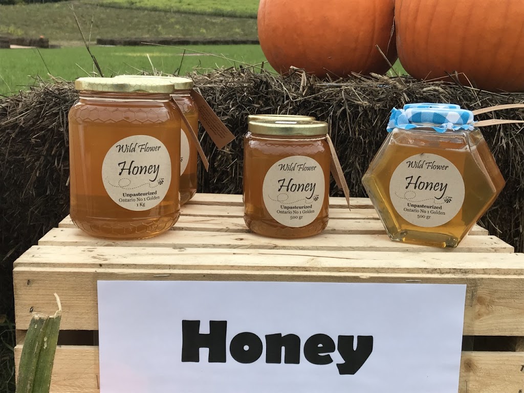 Buzzing Bees Adventure Farm | 1070 Concession Rd 5, Sunderland, ON L0C 1H0, Canada | Phone: (905) 409-4626