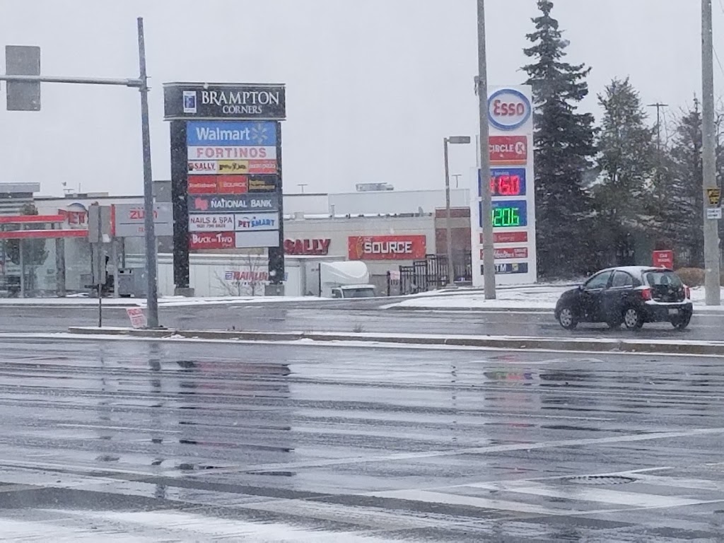 Trans American Customs Brokers Of Canada Ltd | 10 Queen St, Fort Erie, ON L2A 6M4, Canada | Phone: (905) 991-8776
