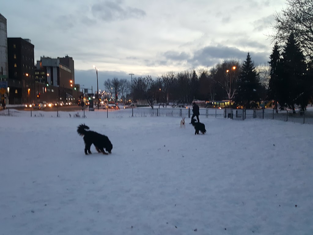Parc Wolfred-Nelson | 4100 Rue Notre-Dame Est, Montréal, QC H1V 3T5, Canada