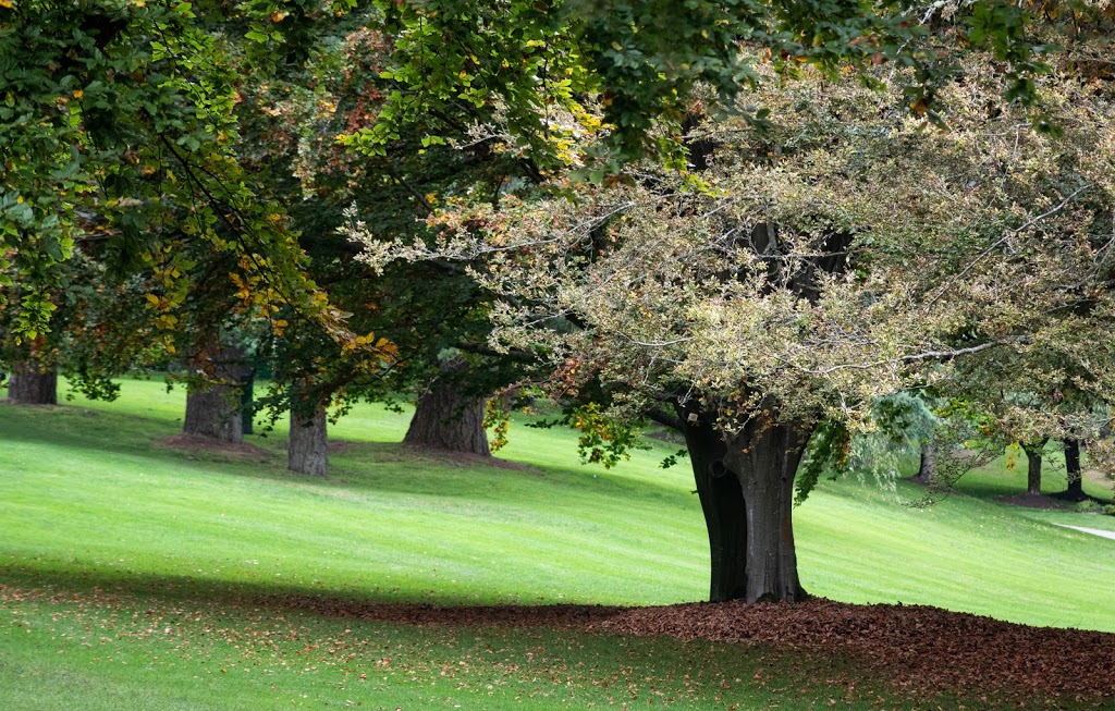 Vandusen Garden Visitor Centre | 5025 Oak St, Vancouver, BC V6M 4H1, Canada | Phone: (604) 257-8335