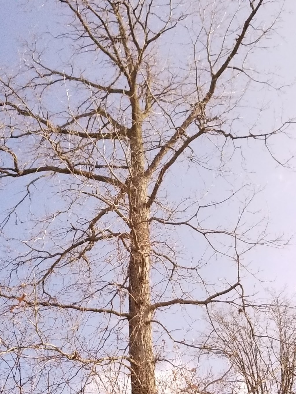 Talltree Park - East | London, ON N5V 4Y1, Canada | Phone: (519) 661-2489