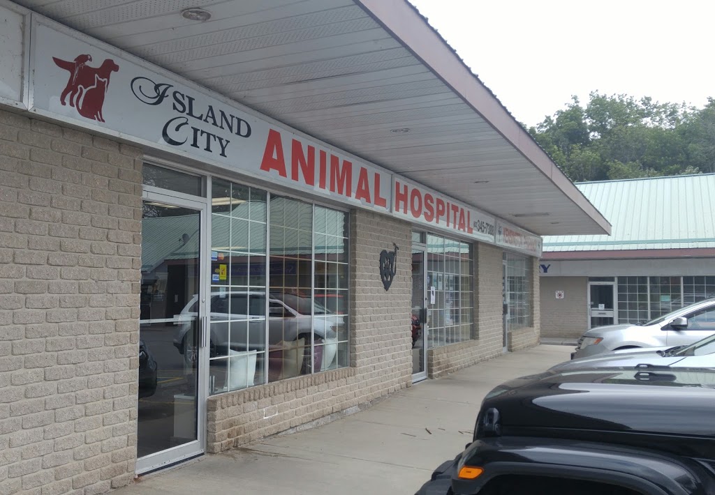 Island City Animal Hospital | veterinary care | 1275 Kensington Pkwy Unit 14, Brockville, ON K6V 6C3, Canada | 6133457388 OR +1 613-345-7388