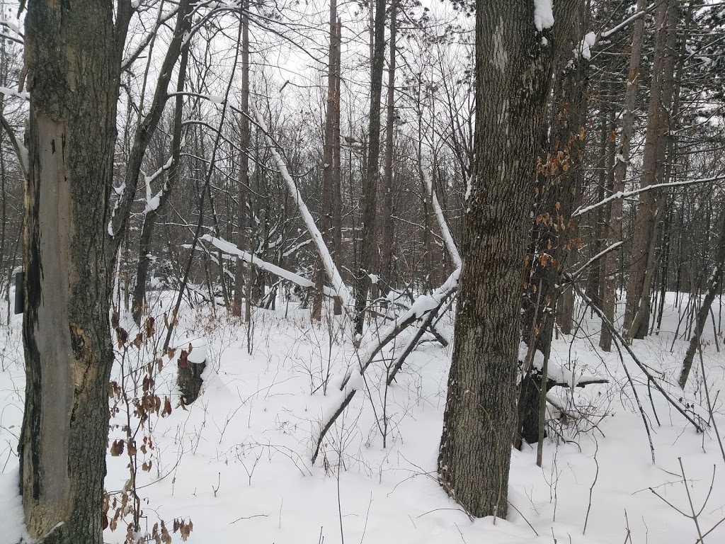 Mattawa Park | 94 Steeple Chase Dr, Kanata, ON K2M 2J4, Canada