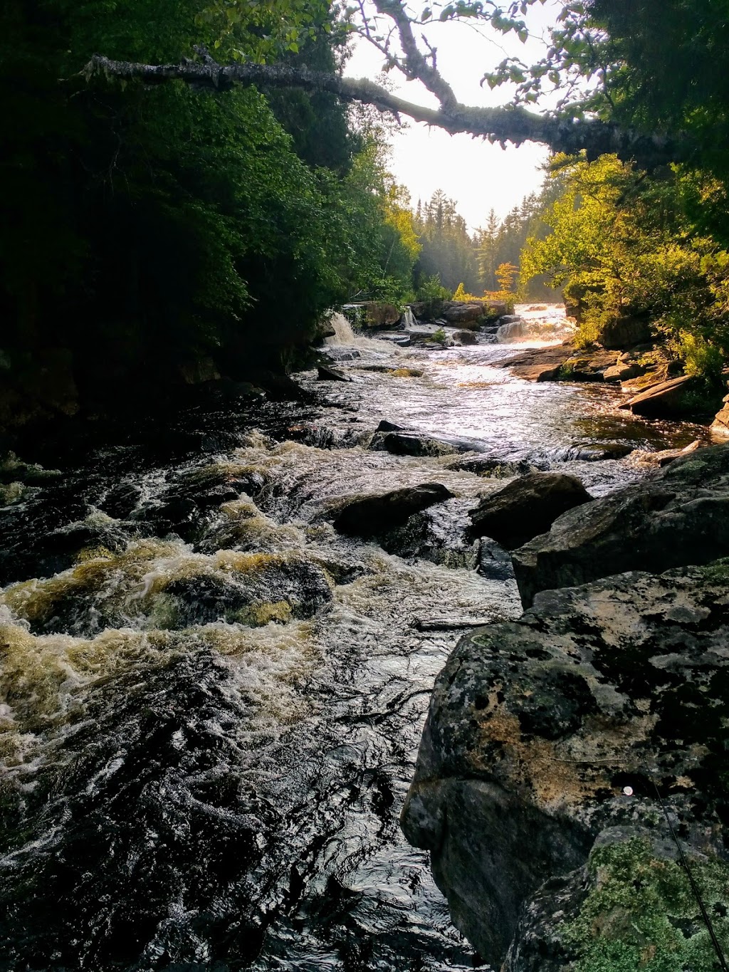 Mastigouche Wildlife Sanctuary | Saint-Alexis-des-Monts, QC J0K 1V0, Canada