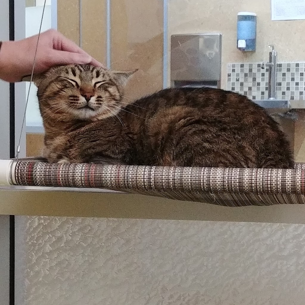 Winnipeg Humane Society | 45 Hurst Way, Winnipeg, MB R3T 0R3, Canada | Phone: (204) 982-2021