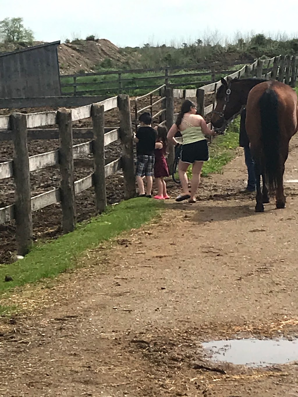 Greenfield Stables | 1864 Greenfield Rd, Cambridge, ON N1R 5S5, Canada | Phone: (519) 716-9600
