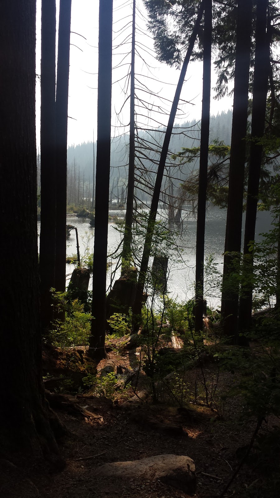 Buntzen Lake Wardens Office | 5000 Sunnyside Rd, Anmore, BC V3H, Canada | Phone: (604) 469-9679