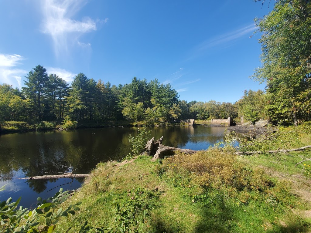 Price Conservation Area | 108608 Hwy 7, Tweed, ON K0K, Canada | Phone: (613) 968-3434