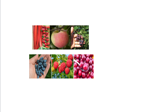 Prairie Fruit Growers Association | Box 1073, La Salle, MB R0G 1B0, Canada | Phone: (204) 324-5058