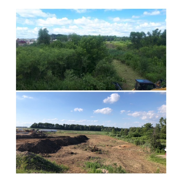 Beaver Brook Forestry & Contracting | 34903 Salem Rd, Parkhill, ON N0M 2K0, Canada | Phone: (519) 280-5087