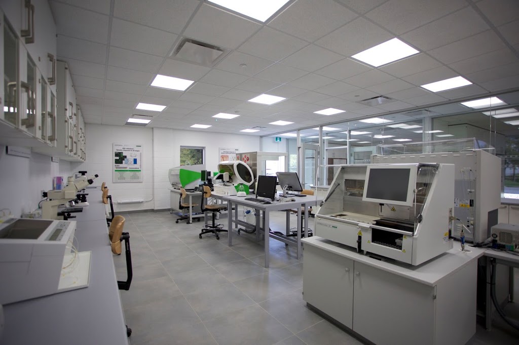 Euroimmun Medical Diagnostics Canada Inc | 2566 Meadowpine Blvd, Mississauga, ON L5N 6P9, Canada | Phone: (905) 542-8828