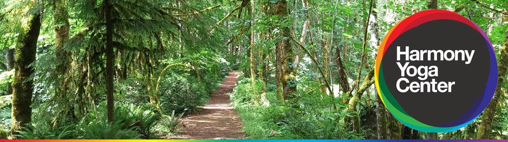 VI Yoga School | 360 Duncan St #103, Duncan, BC V9L 3W4, Canada | Phone: (250) 597-1919