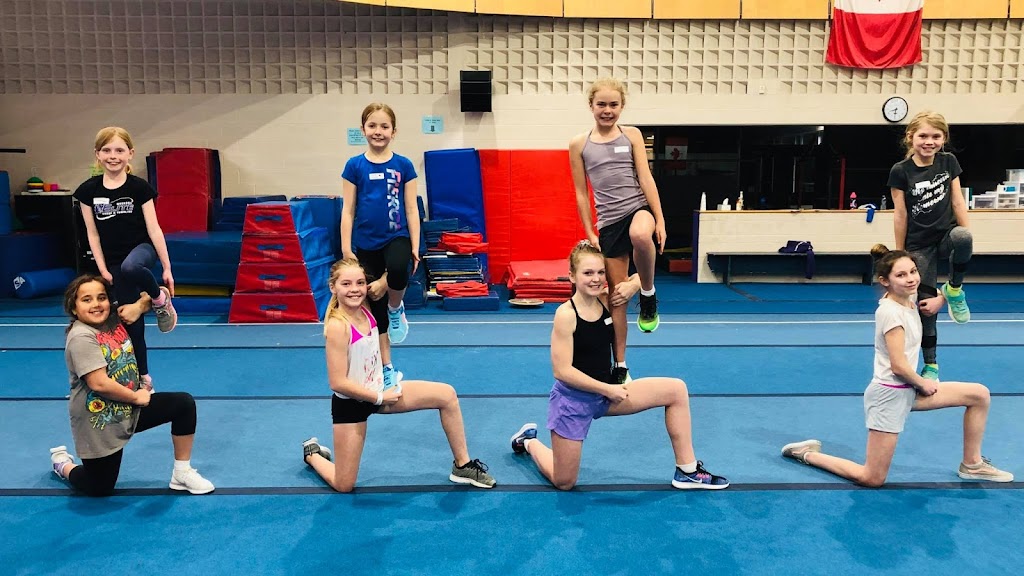 Muskoka Elite Cheer & Tumbling | 110 Clearbrook Trail, Bracebridge, ON P1L 1W9, Canada | Phone: (705) 706-1045