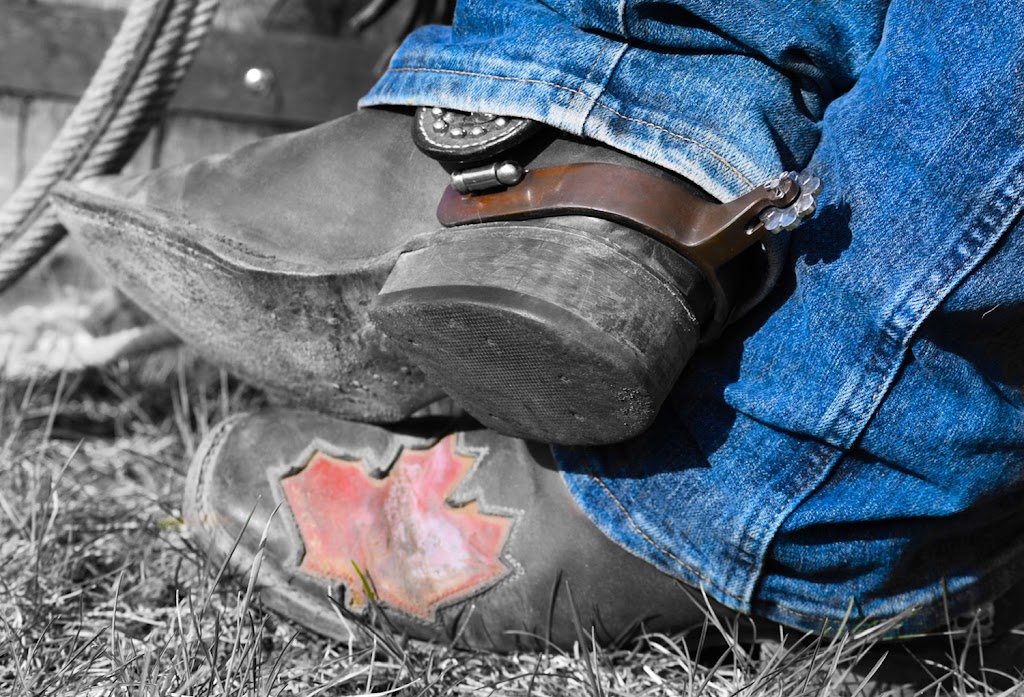 2M Photography | 17 Maplewood Green, Strathmore, AB T1P 1G7, Canada | Phone: (403) 934-8169